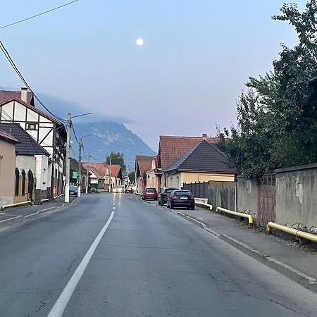 ZărneştiCasa Nicoladis公寓 外观 照片