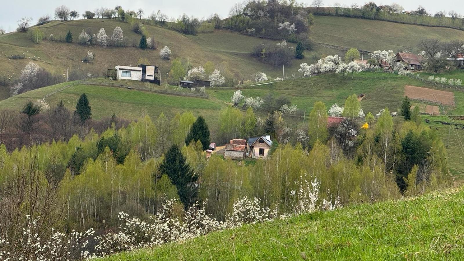 ZărneştiCasa Nicoladis公寓 外观 照片
