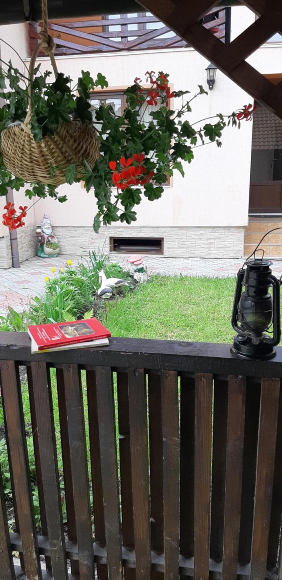 ZărneştiCasa Nicoladis公寓 客房 照片